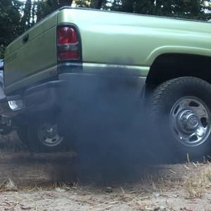 Meet your Posher, Brody